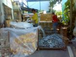 thm_20080723436.jpg